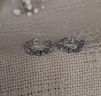 Jaalika (जालिका)