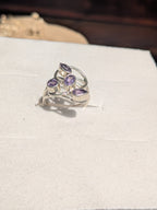 Aruhi (अरुही) -The first light. A quiet bloom