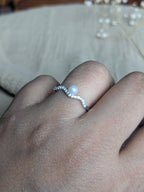 Ambar (अम्बर) - Ambar (अम्बर)