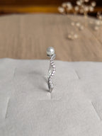 Ambar (अम्बर) - Ambar (अम्बर)