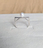 Laksha (लक्ष) - A mark, a goal, a focus.