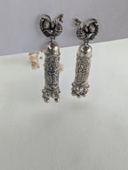 Rajni (रजनी) – The Nocturne Queen