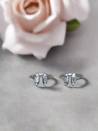 Sitara (सितारा)