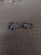 Sitara (सितारा)