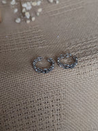 Jaalika (जालिका)