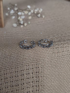 Jaalika (जालिका)