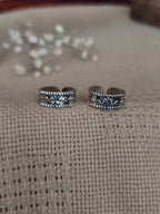 Rajsi (राजसी)